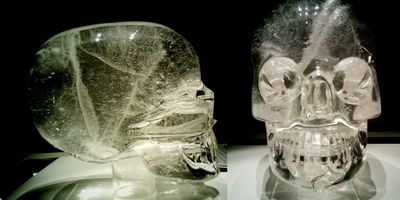 British Museum Skull