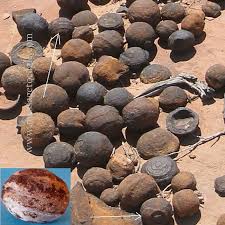 http://www.messagetoeagle.com/controversial-and-out-of-place-in-time-metallic-spheres-from-south-africa/