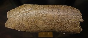 image of La Madeleine mammoth carving in Musee de l'Homme in Paris [4]