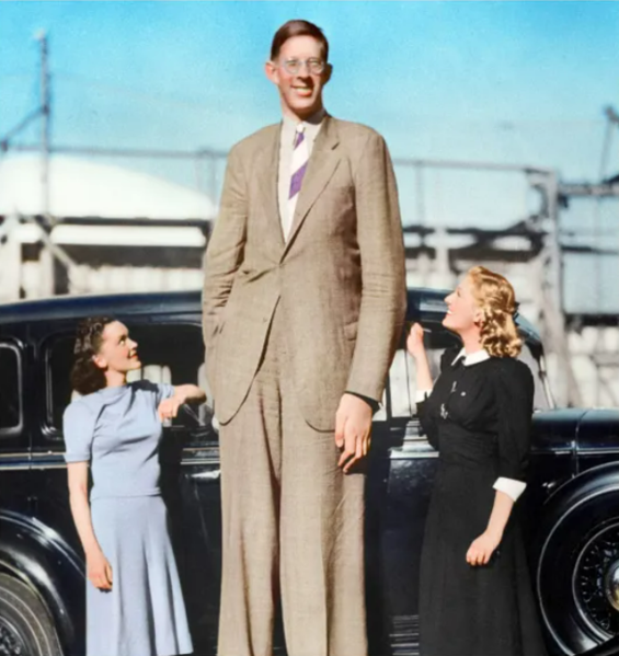 File:Robert Wadlow.png