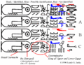 Thumbnail for version as of 05:40, 1 December 2017